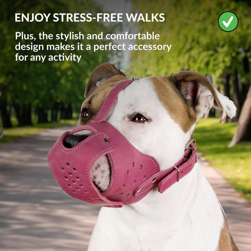 CollarDirect Dog Muzzle Pitbull Amstaff Basket Genuine Leather Staffordshire Terrier (Pink) - Image 5